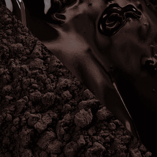 Cacao En Polvo (100 %) Cacao Barry - "noir Intense" 1 Kg - Imagen 4
