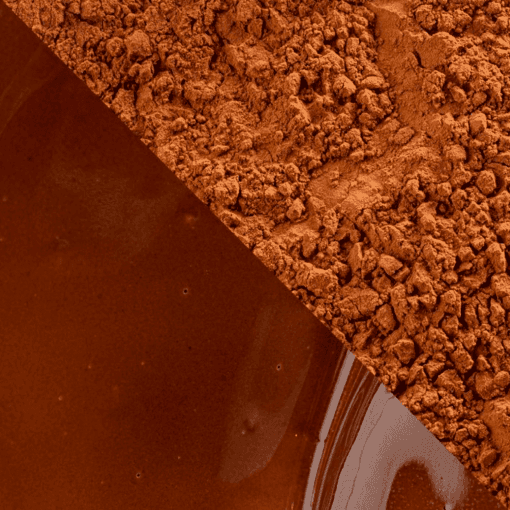 Cacao En Polvo (100 %) Cacao Barry - "plein Arome" 1 Kg