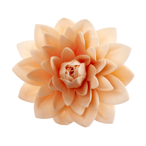 Flor De Oblea Gigante Dekora - Dalia (color Pastel) - Imagen 2